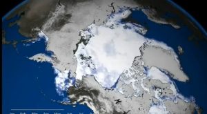 sea-ice-video sea-ice-video