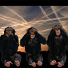 see-no-evil see-no-evil