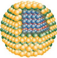 quantum-dot-shell