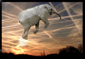 see-no-evil-climate-expert-2