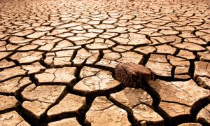 drought-dried-rieverbed