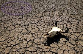dry-ground