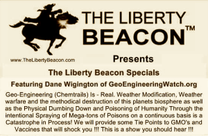The Liberty Beacon