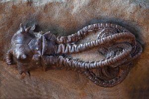 ancient-microbe