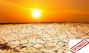 desert plains