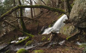 nature-walk