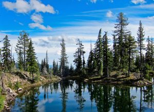 wilderness