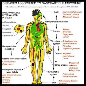 nanoparticle exposure