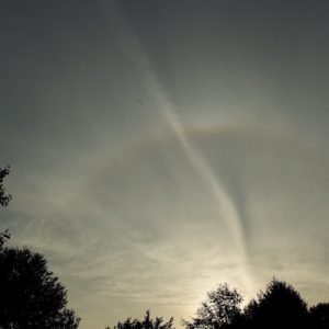 halos