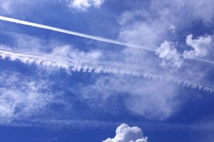 sky31
