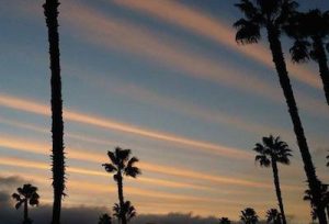 CA