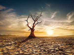 Drought2