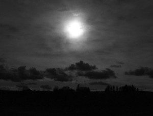 Horizon-300x228