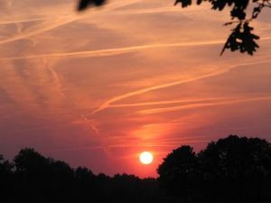 sun1