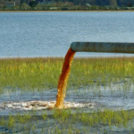 toxic-water-florida