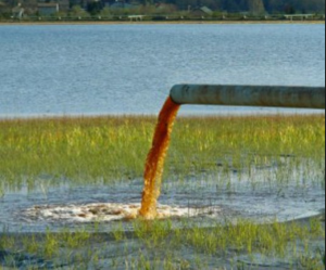 toxic-water-florida