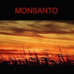 Monsanto