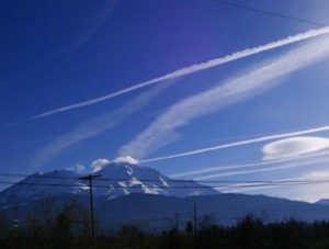 Mt. Shasta