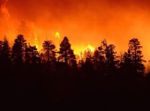 Western fires