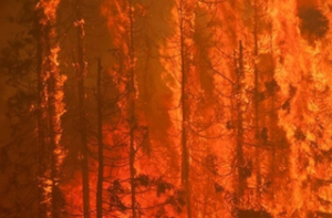 Alaska fire