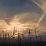 geoengineeringWatch.org1