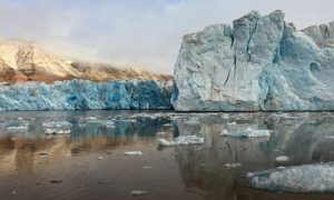 arctic-sea-ice