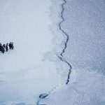 emperor-penguins-face-a-crack