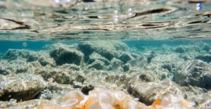 ocean-scene-500x259