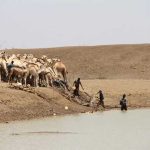 Kenya_drought_2017
