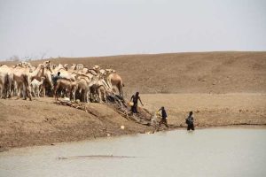 Kenya_drought_2017