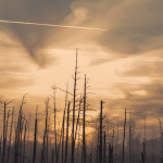 GeoengineeringWatch.org 455t