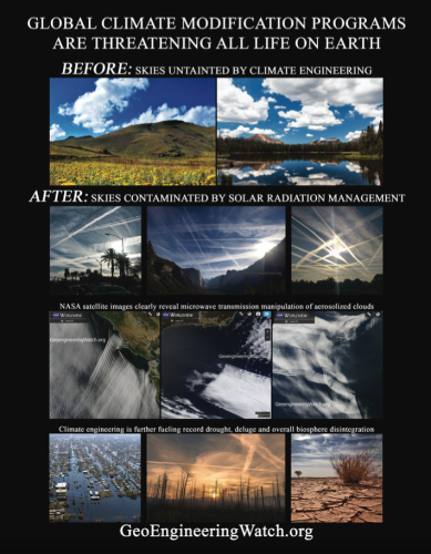 Geoengineering Watch Flyer