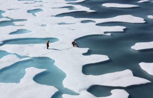 melting-sea-ice