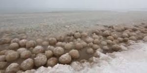 ice balls lakeshore