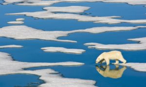 arctic-ice-melting-faster-and-earlier