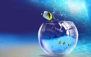 escape-from-fishy-life-background-700x438